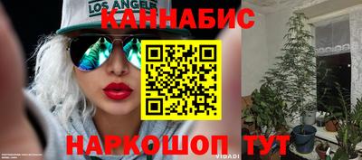 mdpv Уссурийск